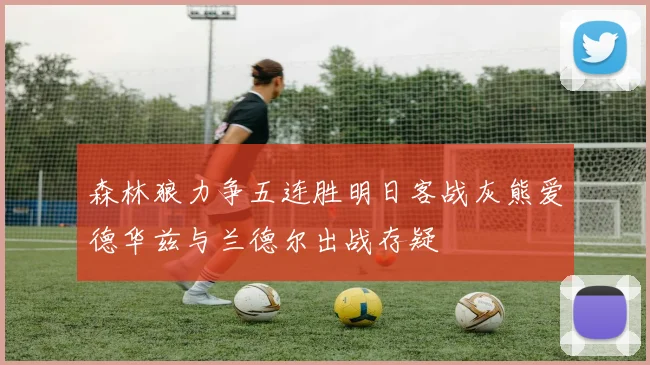 森林狼力争五连胜明日客战灰熊爱德华兹与兰德尔出战存疑